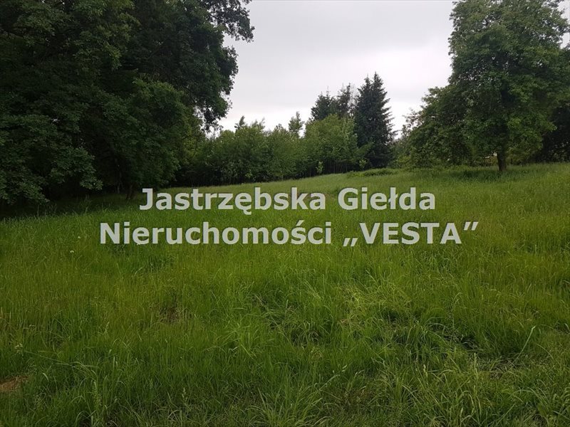 Działka inna na sprzedaż Jastrzębie-Zdrój 1 410m2 Foto 1 Działka inna na sprzedaż Jastrzębie-Zdrój 1 410m2 Foto 1