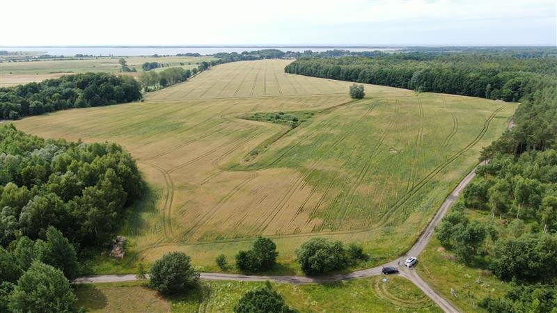 Działka budowlana na sprzedaż Boryszewo, Boryszewo  3 166m2 Foto 6