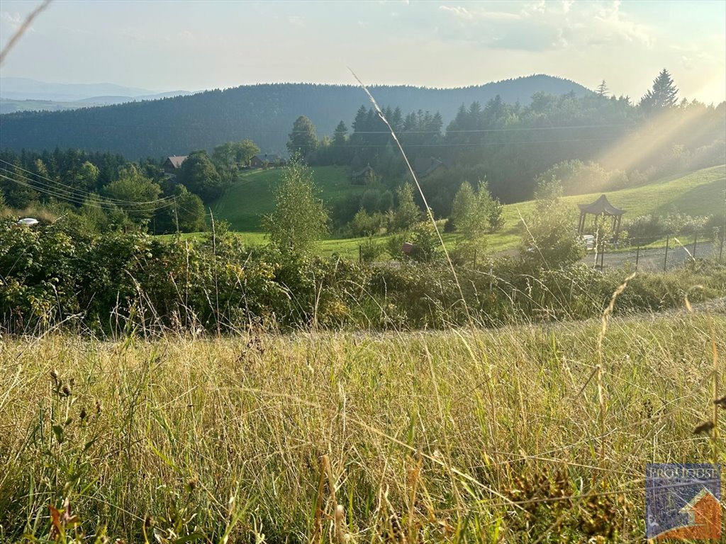 Działka budowlana na sprzedaż Męcina  950m2 Foto 2