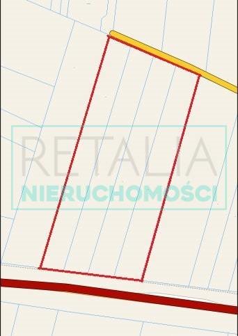 Działka rolna 21 906 m² z mediami i planami rozbudowy Seroki-Wieś  21 906m2 Foto 1