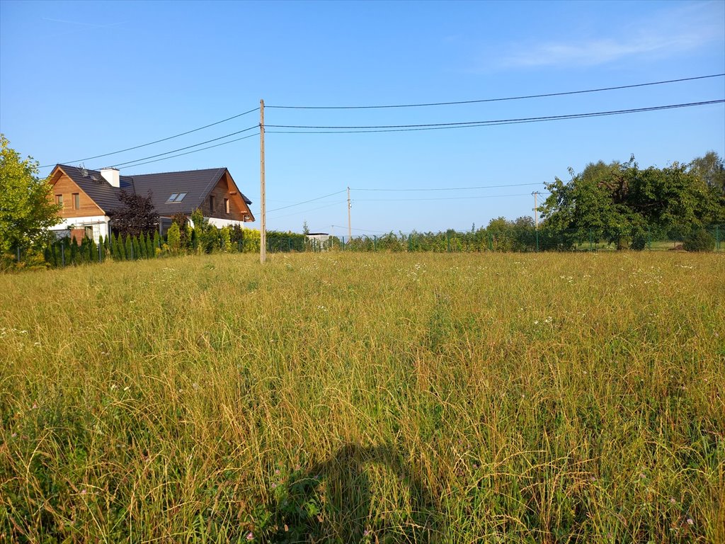 Działka budowlana na sprzedaż Świńczów  1 000m2 Foto 9