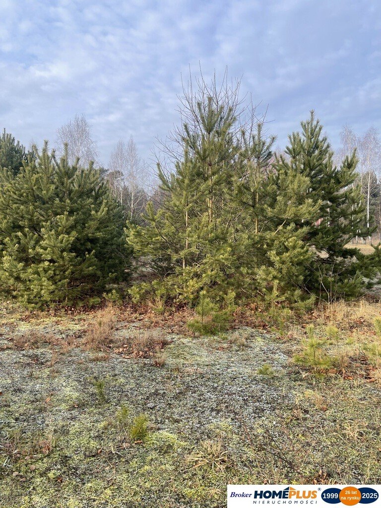 Działka budowlana na sprzedaż Józefów  2 050m2 Foto 1