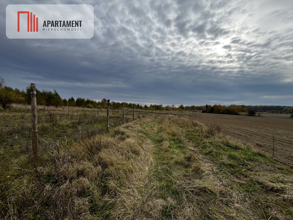 Działka budowlana na sprzedaż Bolesławowo  1 127m2 Foto 3