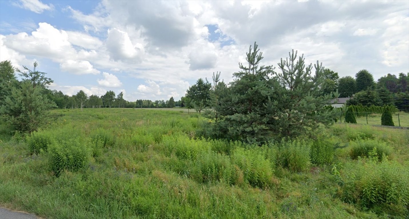 Działka budowlana na sprzedaż Anielin Swędowski  15 217m2 Foto 3