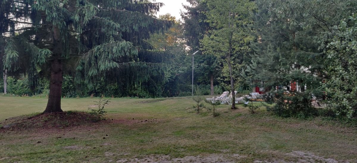 Lokal użytkowy na sprzedaż Tartak  52 600m2 Foto 22