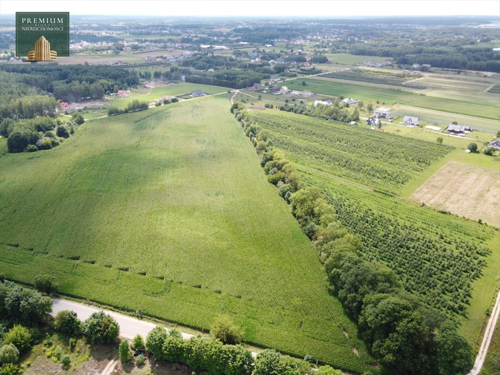 Działka rolna na sprzedaż Sobolewo  19 988m2 Foto 3