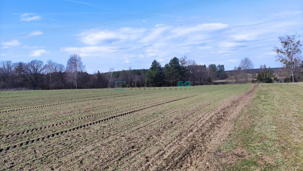 Działka inna na sprzedaż Krusznik  34 280m2 Foto 4