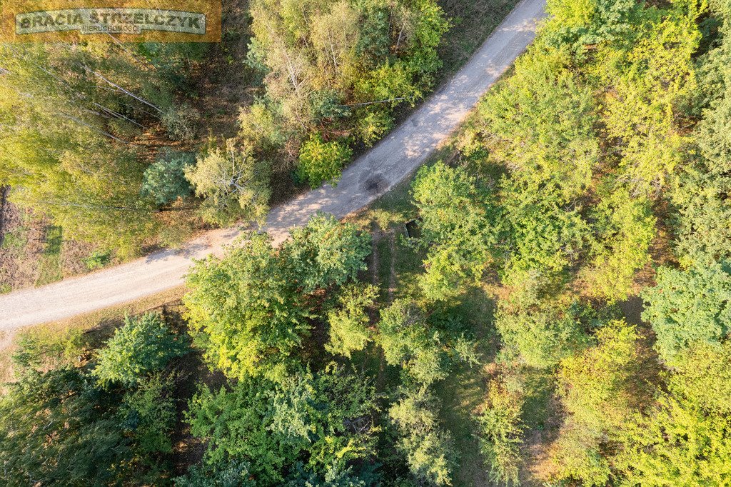 Działka siedliskowa na sprzedaż Tomaszówka  14 800m2 Foto 4