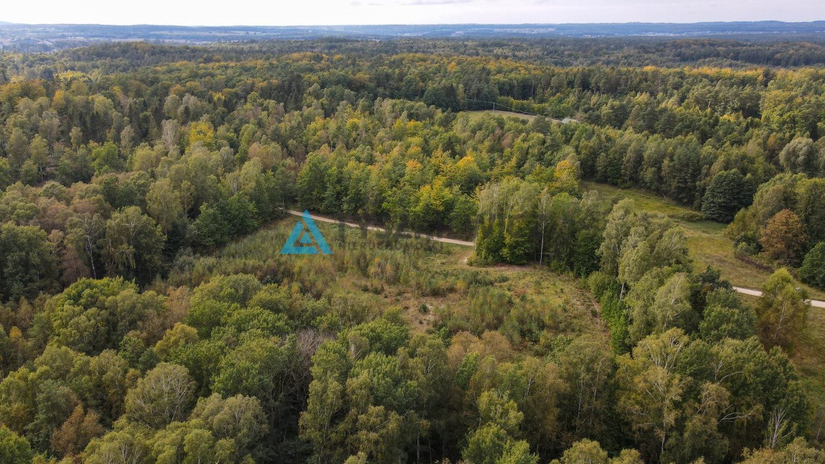 Działka budowlana na sprzedaż Skrzeszewo Żukowskie, Leśna  11 811m2 Foto 7