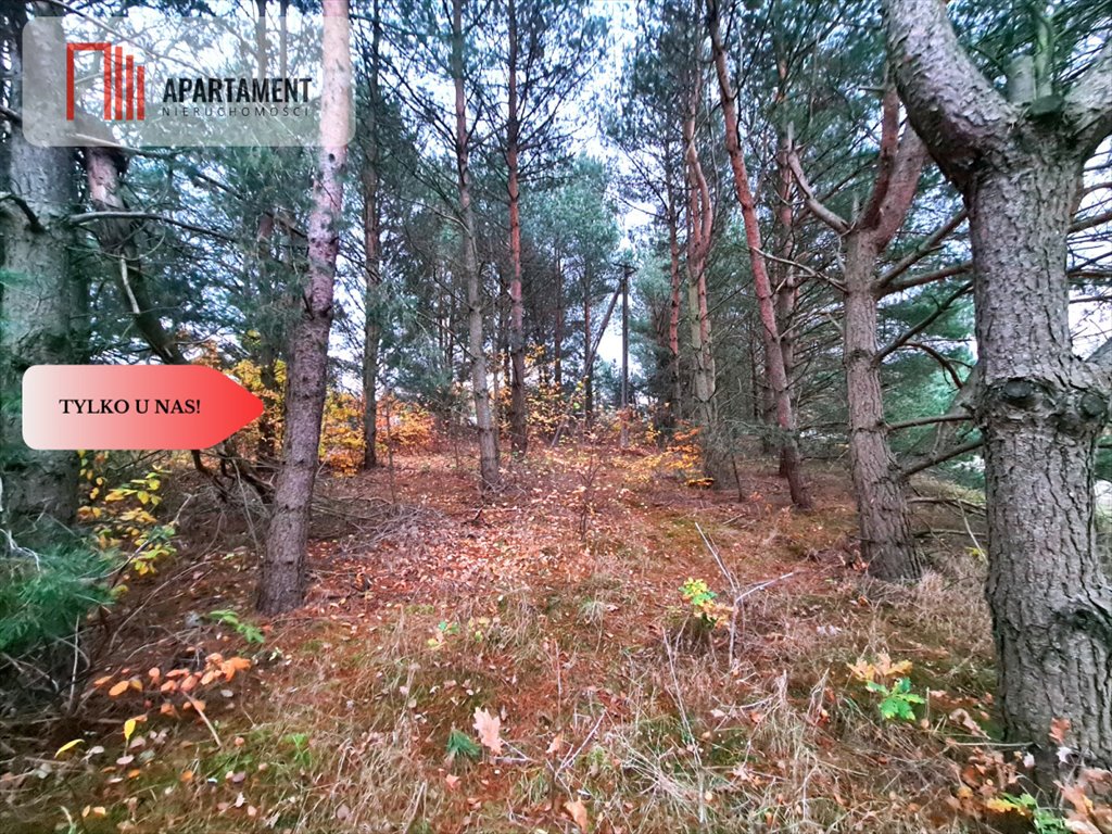 Działka rekreacyjna na sprzedaż Bartoszylas  1 706m2 Foto 4