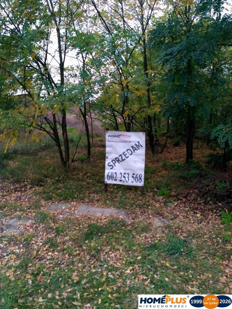 Zdjęcie 3