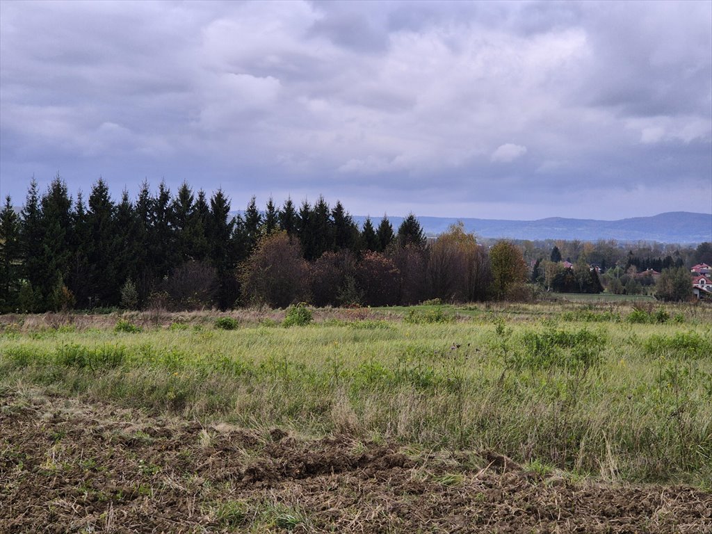 Działka rolna na sprzedaż Długie  1 910m2 Foto 12