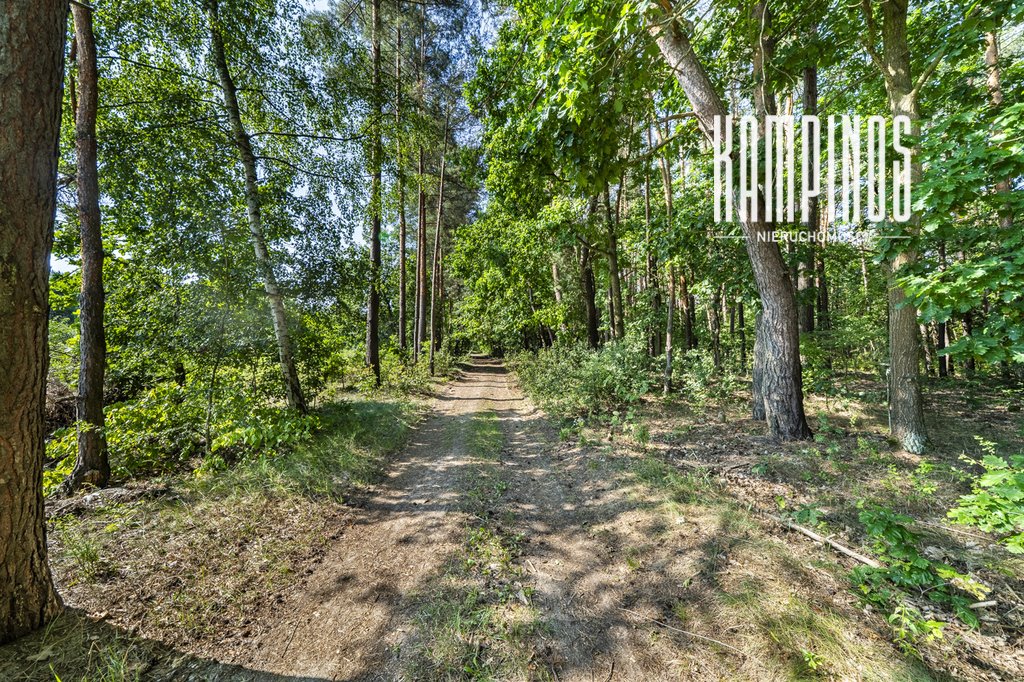 Do sprzedania działka 4000 m² w Hornówku z lasem i pełną infrastrukturą: Hornówek: Malinowa