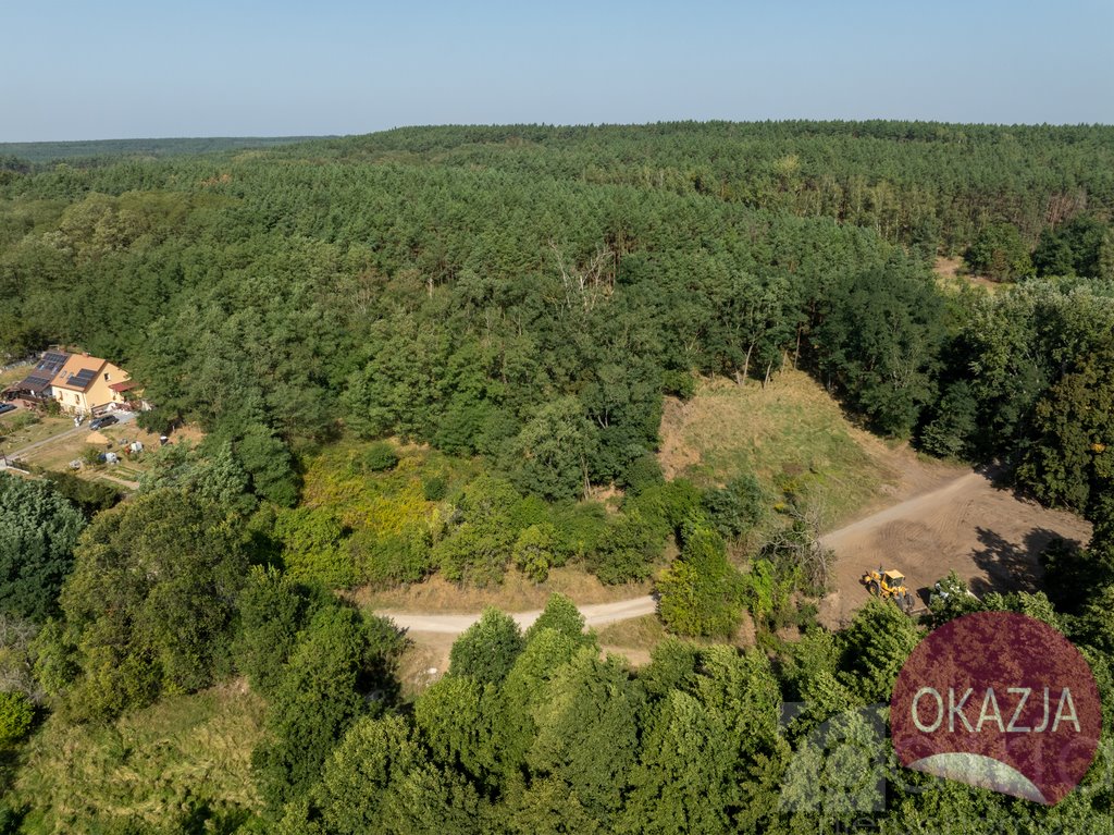 Działka inna na sprzedaż Stary Błeszyn  1 500m2 Foto 11