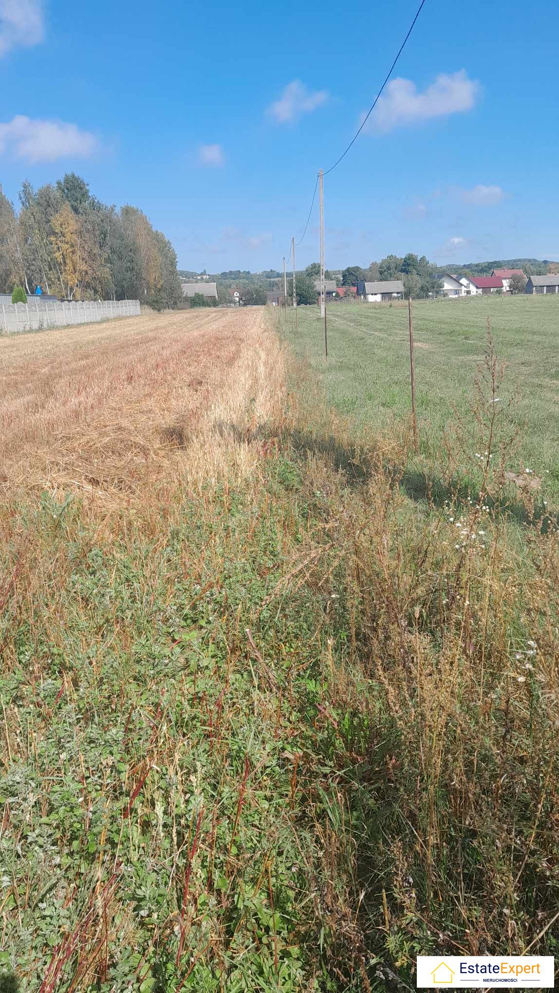 Działka budowlana na sprzedaż Bęczków, Bęczków, Gościniec  1 901m2 Foto 3