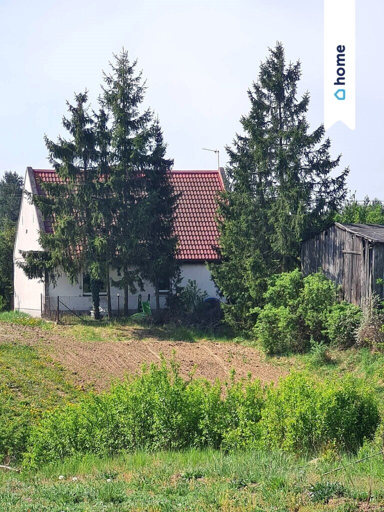 Urokliwy dom z dużą działką (2099 m²) w Zielonczynie Zielonczyn  80m2 Foto 1