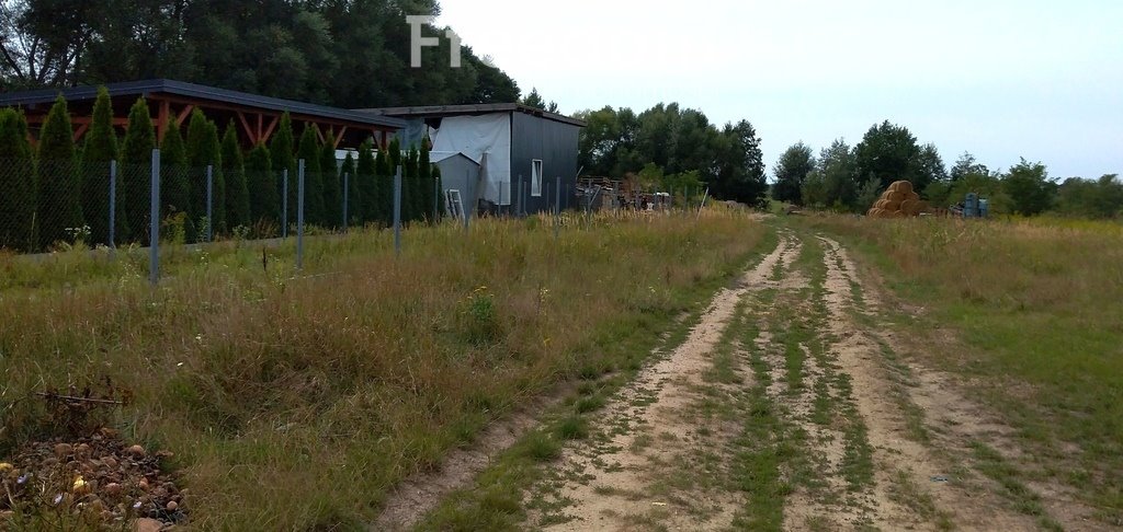 Działka rolna na sprzedaż Ostrówiec  5 600m2 Foto 12