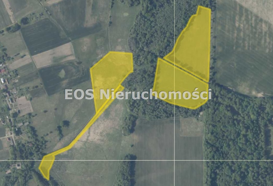 Do sprzedania unikalne działki rolne 13 ha z łąkami i lasem Starogard  129 737m2 Foto 1