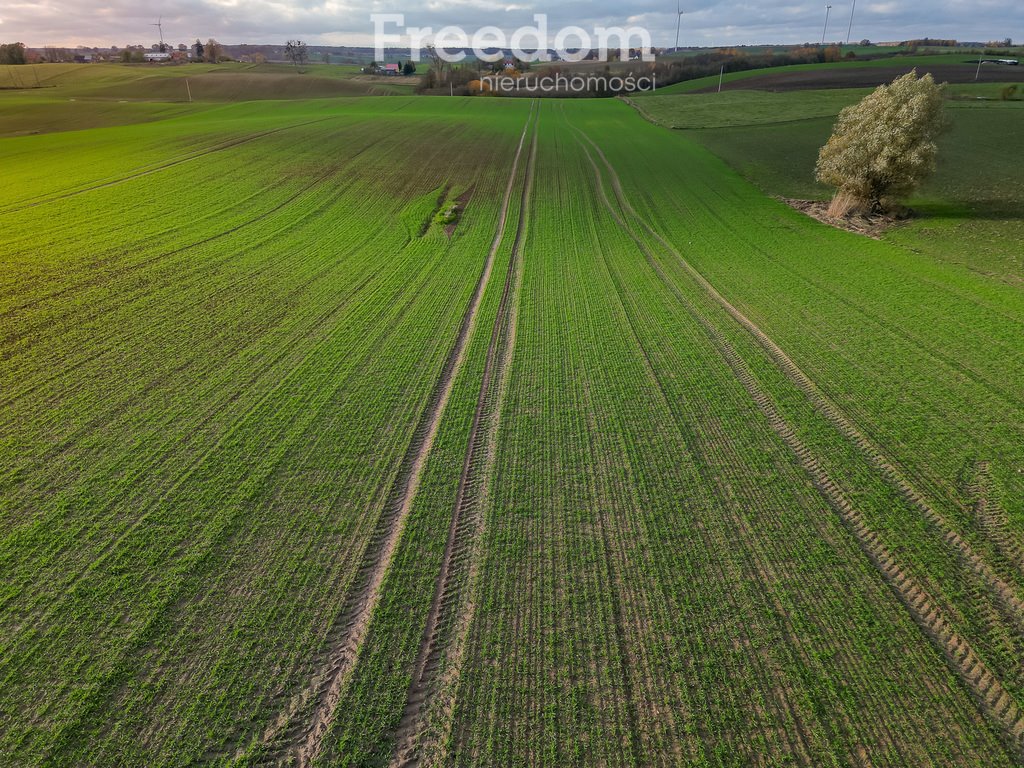 Działka inna na sprzedaż Laseczno, Laseczno Małe  3 001m2 Foto 6