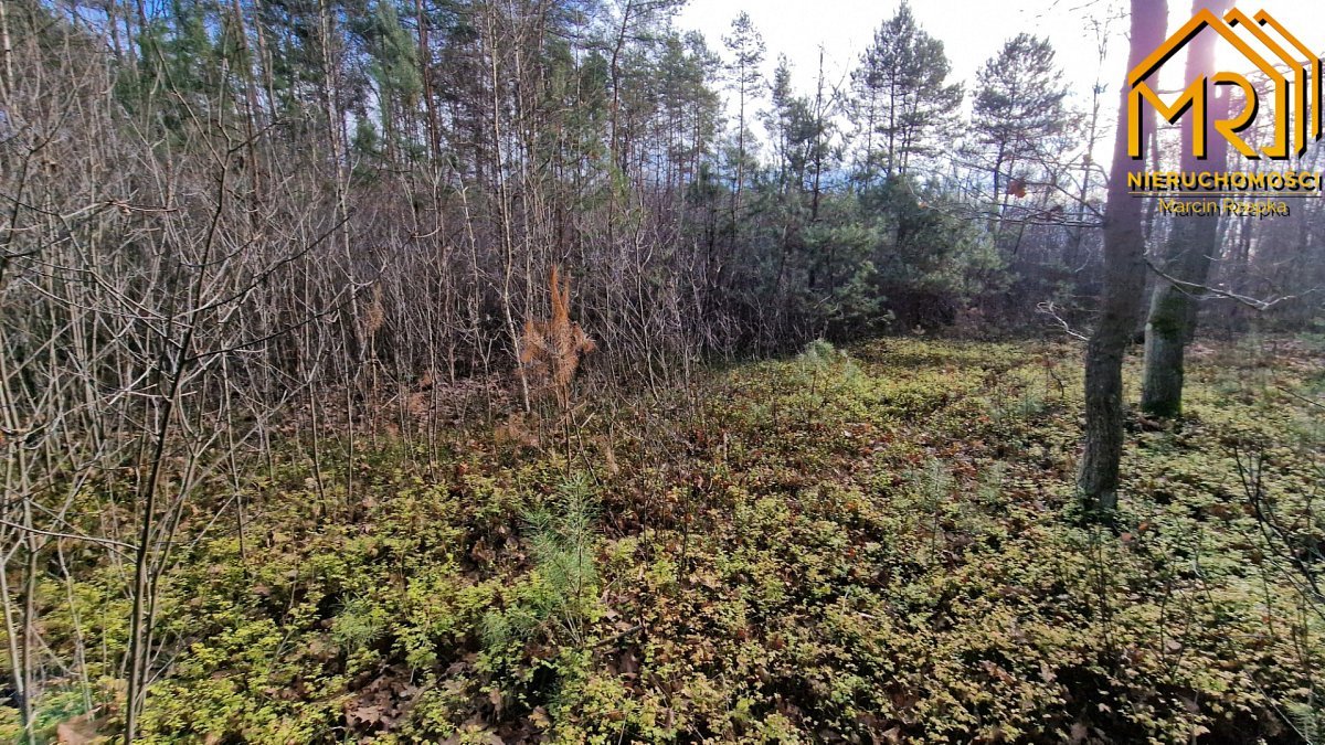 Działka rolna na sprzedaż Stare Żukowice  2 200m2 Foto 10