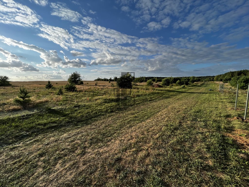 Działka 1500 m² pod lasem, rekreacja, warunki zabudowy Gnojno  1 500m2 Foto 1