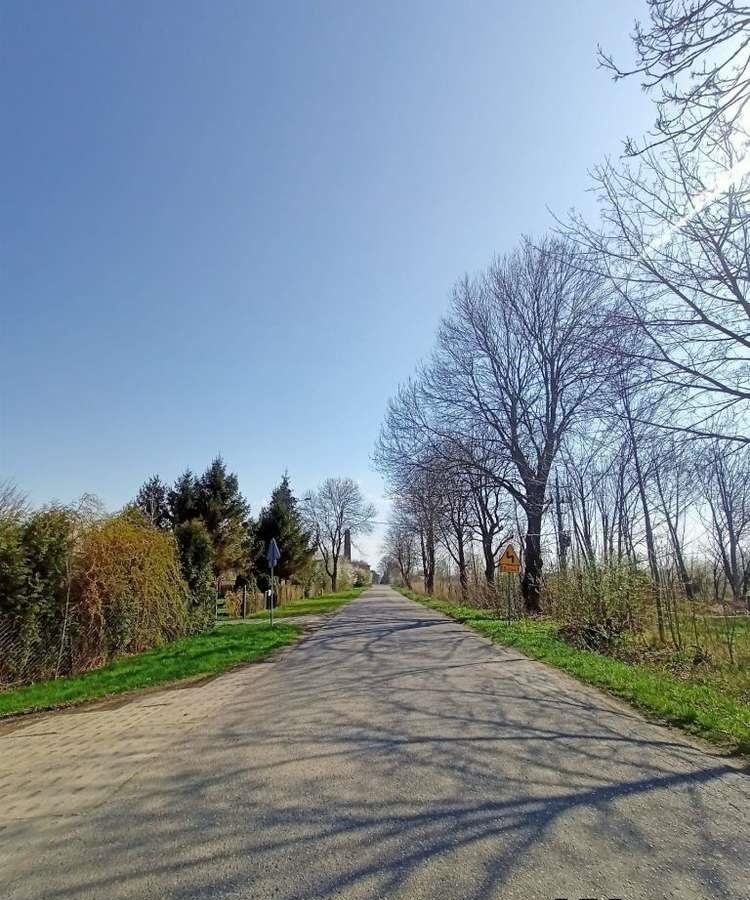 Działka rolna na sprzedaż Sztutowo  3 000m2 Foto 5