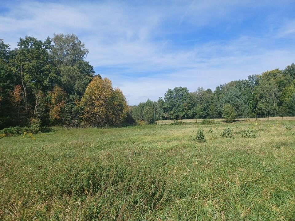 Działka budowlana na sprzedaż Pisarzowice  2 362m2 Foto 3