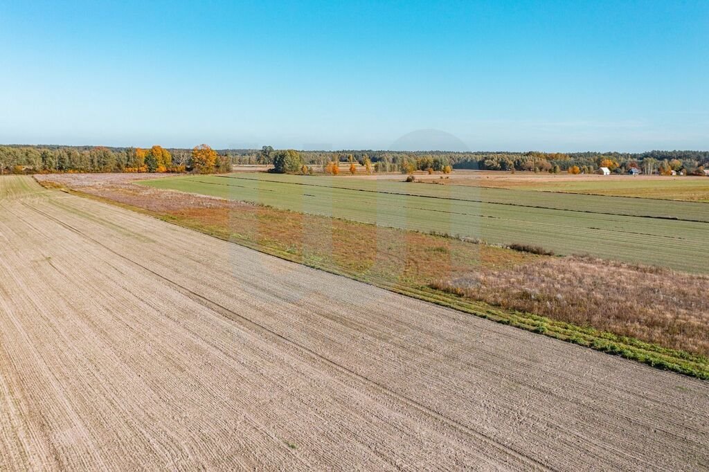 Działka budowlana na sprzedaż Krajęczyn  3 000m2 Foto 2