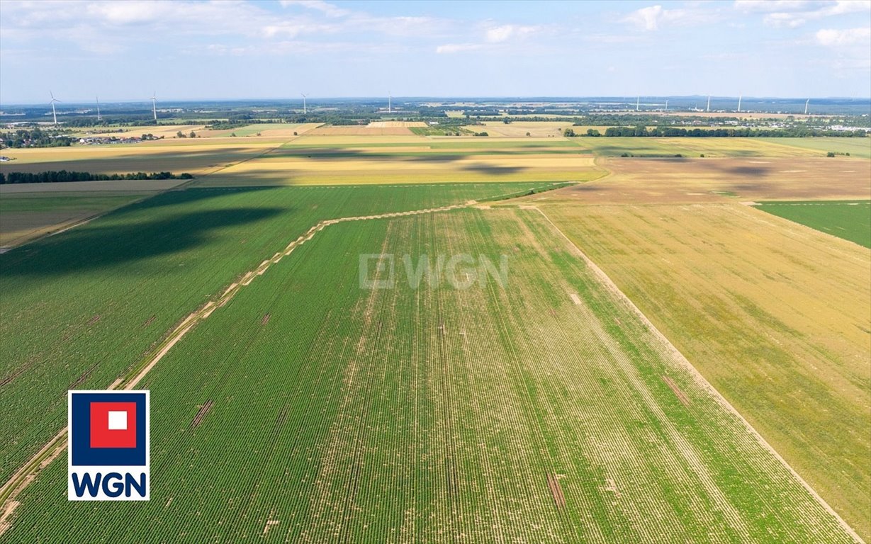 Działka budowlana na sprzedaż Słupsk, Stanisława Szpilewskiego  3 060m2 Foto 10