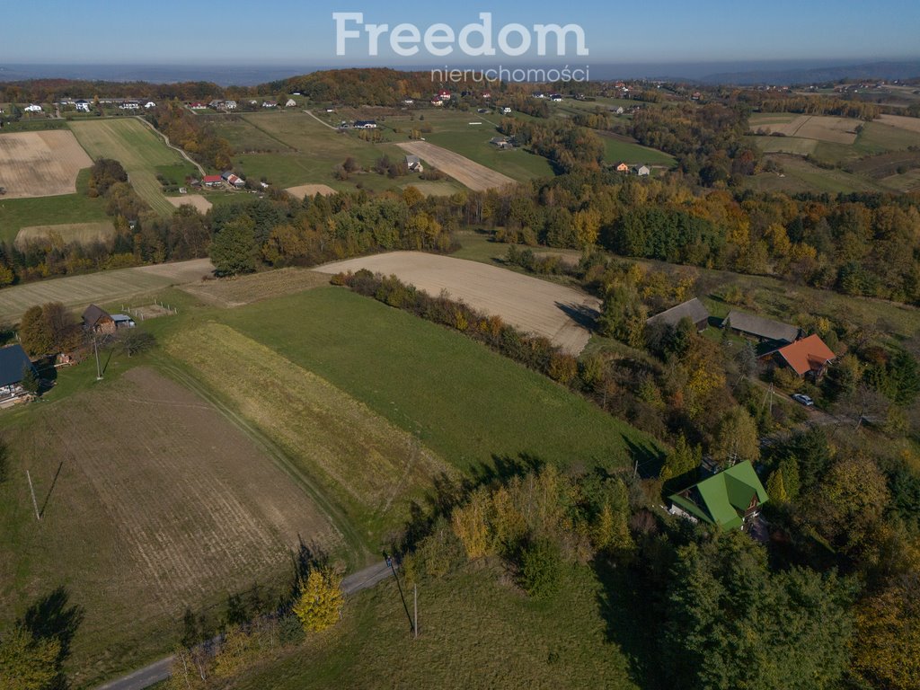 Działka budowlana na sprzedaż Raciechowice  4 600m2 Foto 12