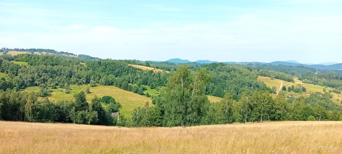 Działka budowlana na sprzedaż Michałkowa  1 200m2 Foto 8