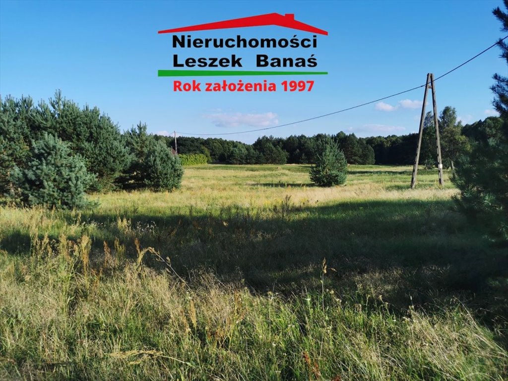 Zdjęcie 7
