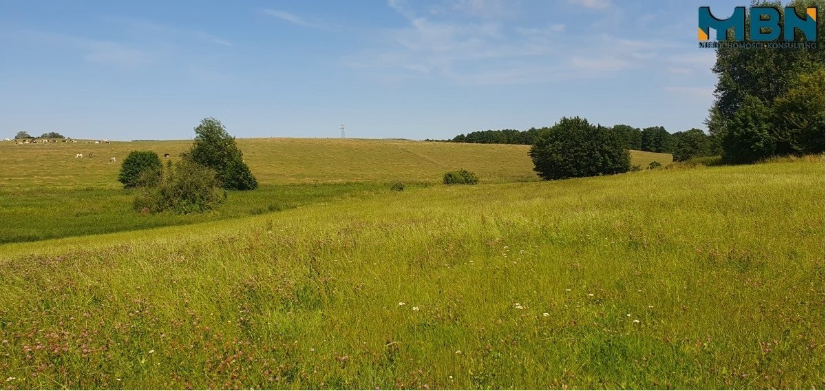 Działka rolna na sprzedaż Stręgielek, Stręgielek  3 035m2 Foto 11