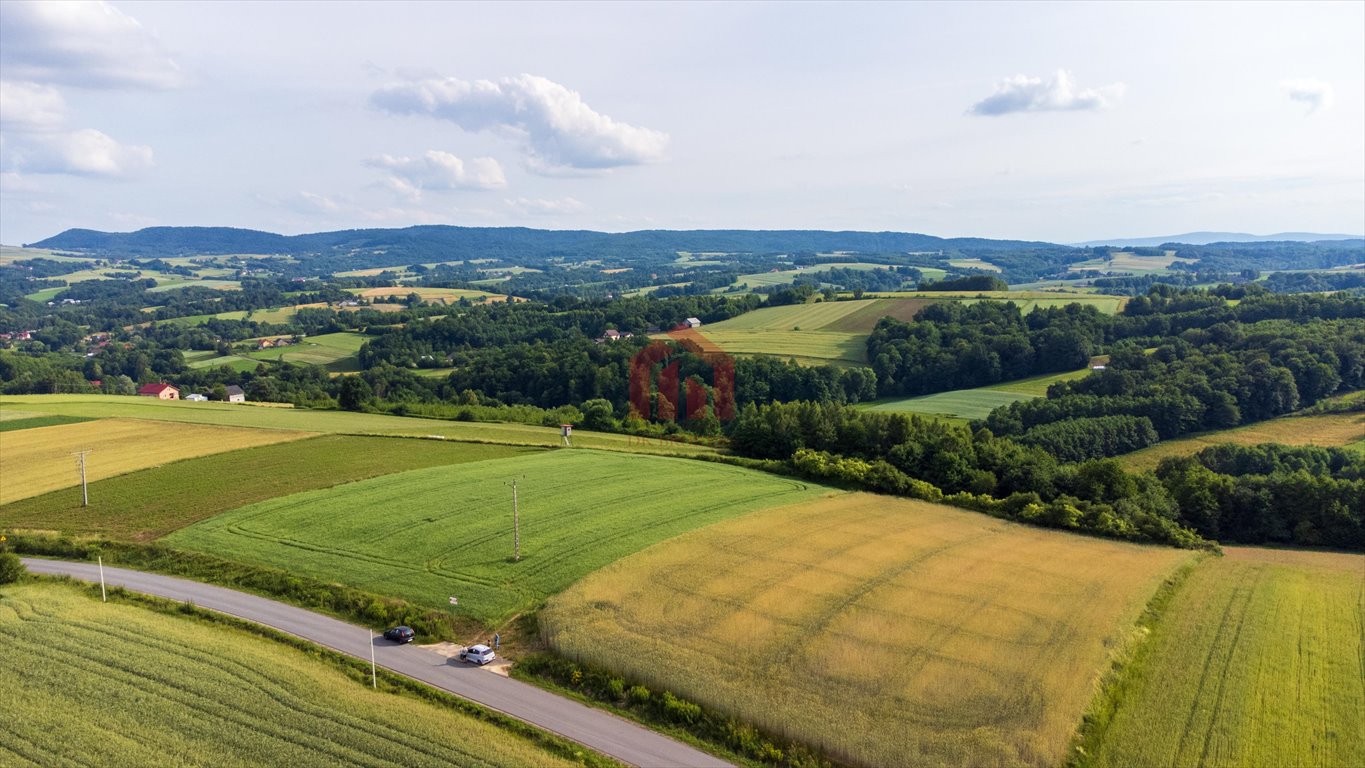 Działka budowlana na sprzedaż Wielopole Skrzyńskie  3 650m2 Foto 6