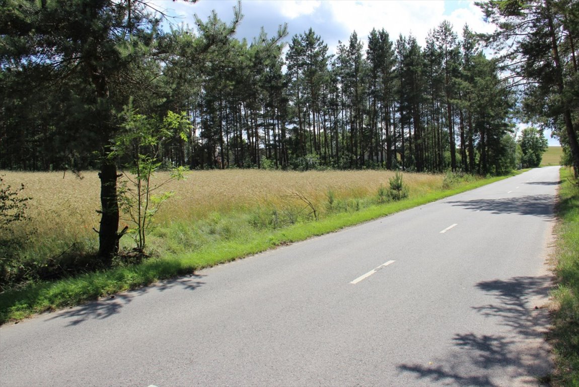 Działki pod zabudowę w Ełganowie, 2213 m2, WZ, media Ełganowo  2 213m2 Foto 1