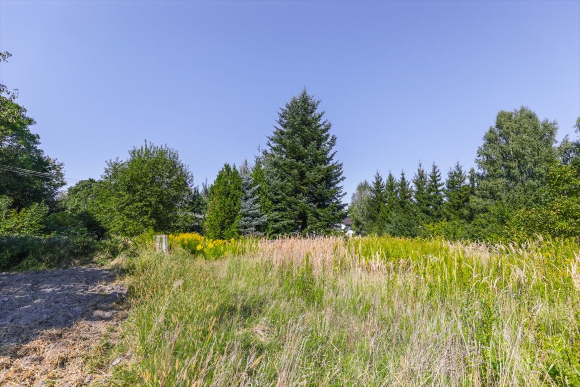 Działka budowlana na sprzedaż Żabia Wola  3 667m2 Foto 2