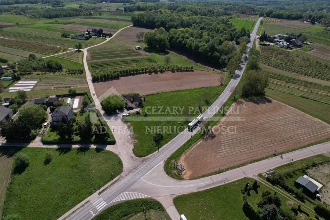 Działka komercyjna na sprzedaż Skowieszynek, Skowieszynek, Kazimierz Dolny  4 212m2 Foto 4