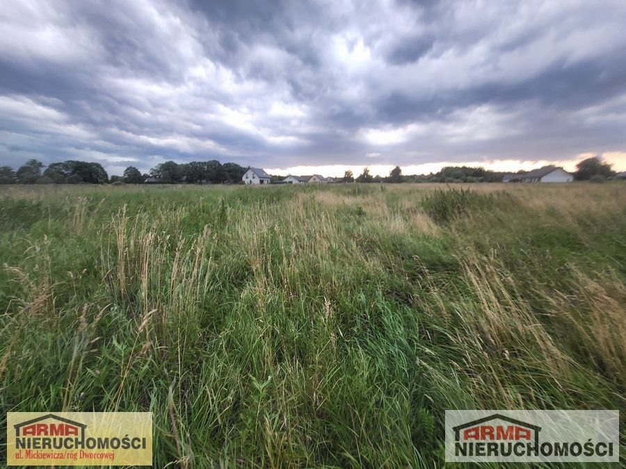 Działka inna na sprzedaż Rurzyca  3 000m2 Foto 5