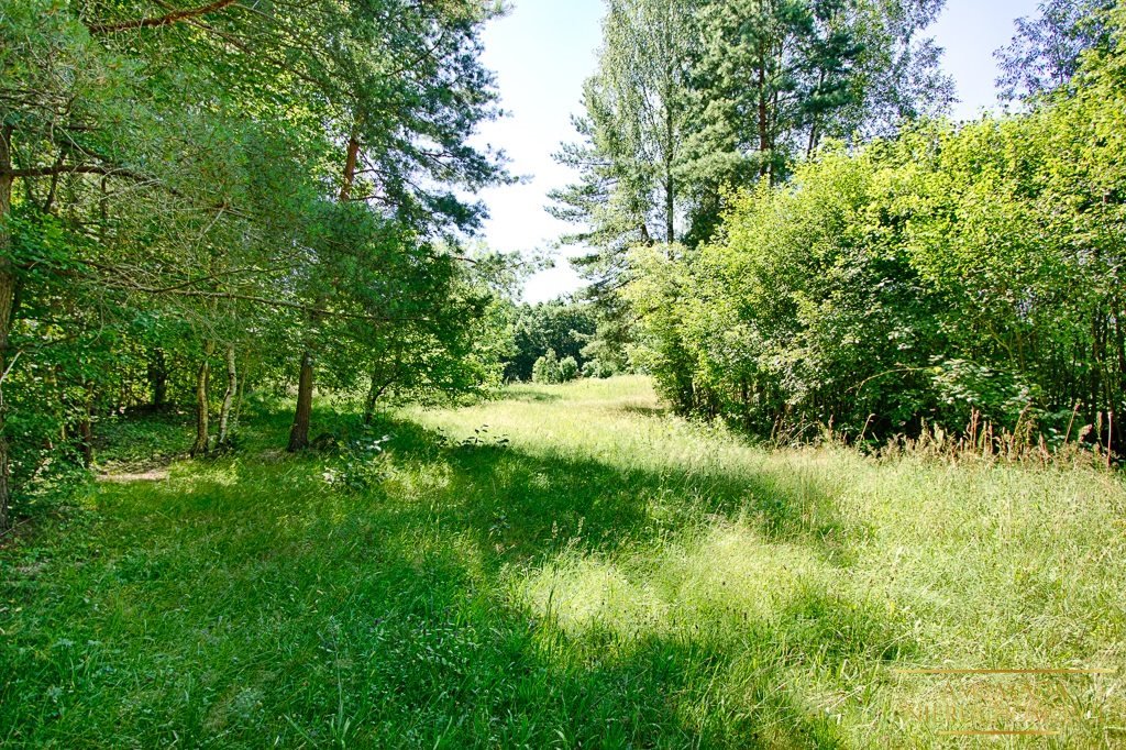 Działka rolna na sprzedaż Kuplisk, Kamienica  28 000m2 Foto 6