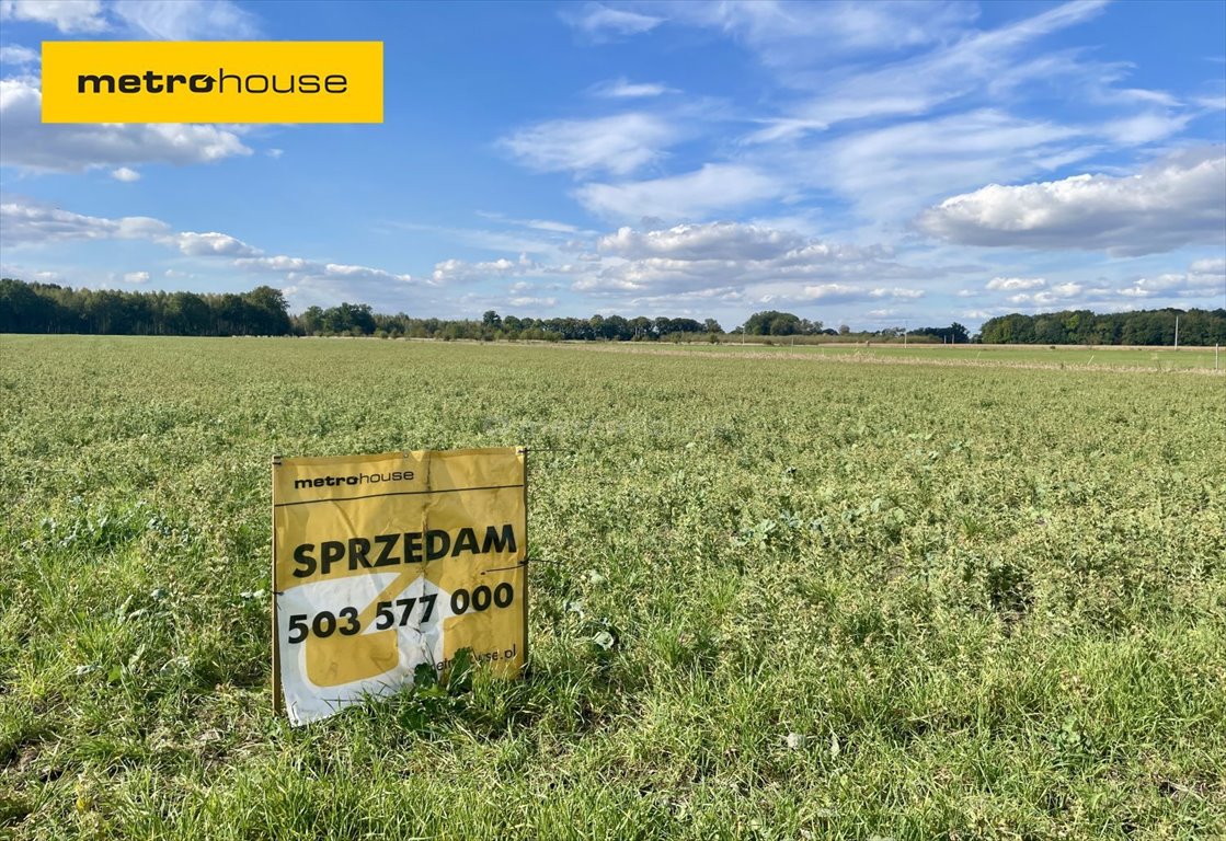 Działka inna na sprzedaż Rudziniec  688m2 Foto 1