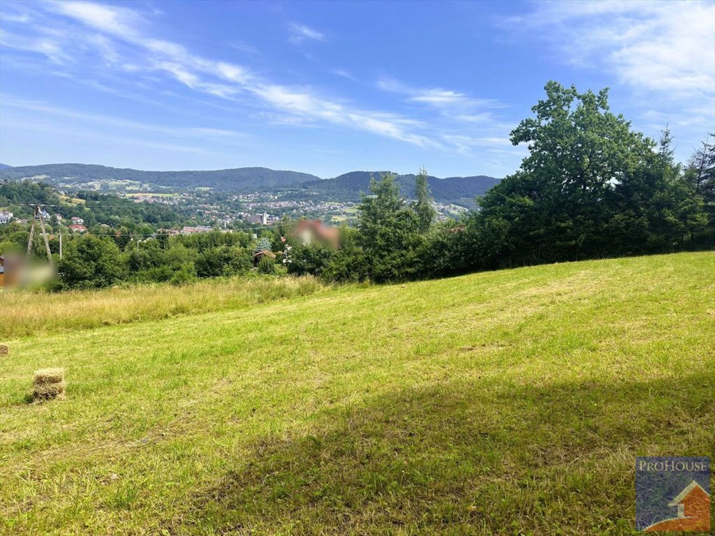 Działka budowlana na sprzedaż Limanowa  3 330m2 Foto 5