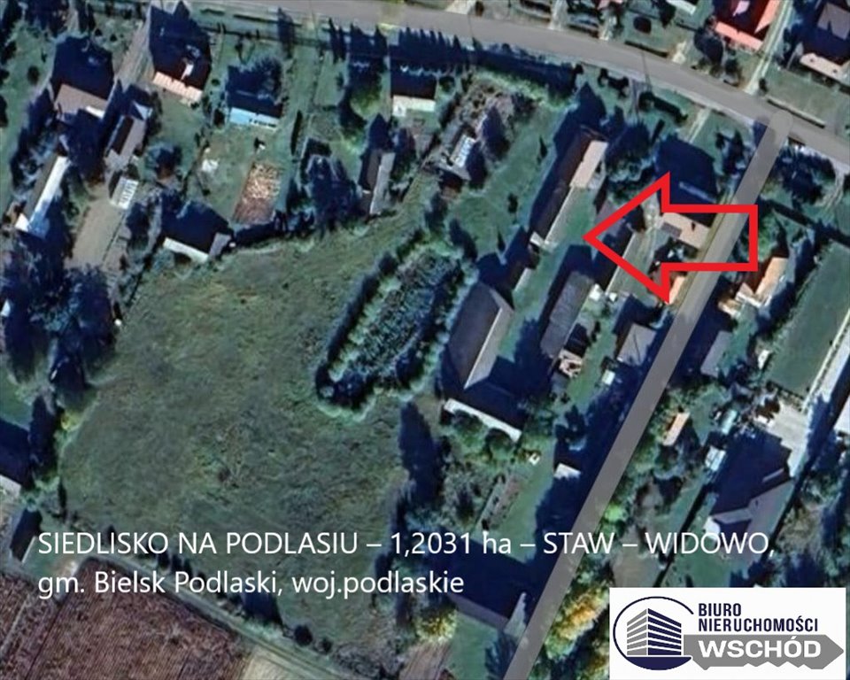 Duża działka z stawem i domem 90 m² – Widowo Widowo  90m2 Foto 1