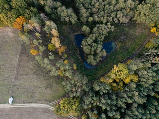 Działka inna na sprzedaż Huta-Chojno, Huta-Chojno  8 200m2 Foto 2