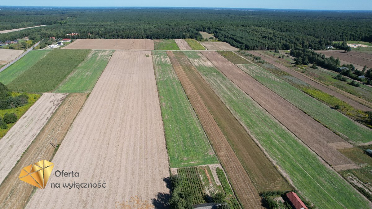 Działka budowlana na sprzedaż Nasutów  3 000m2 Foto 5