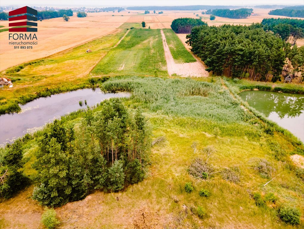 Działka leśna na sprzedaż Pięczkowo, Pięczkowo, sportowa 212/1  35 280m2 Foto 12