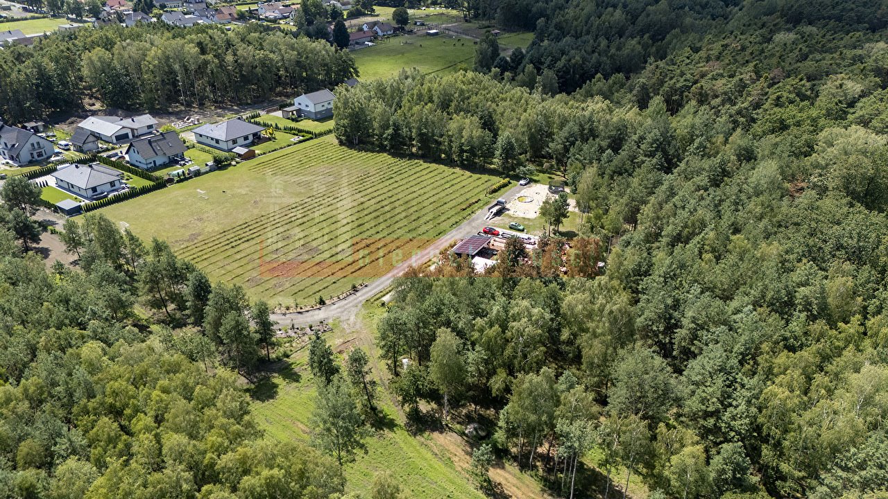 Do sprzedania działka 33 000 m² z domkiem w Krasiejowie Krasiejów  33 000m2 Foto 1
