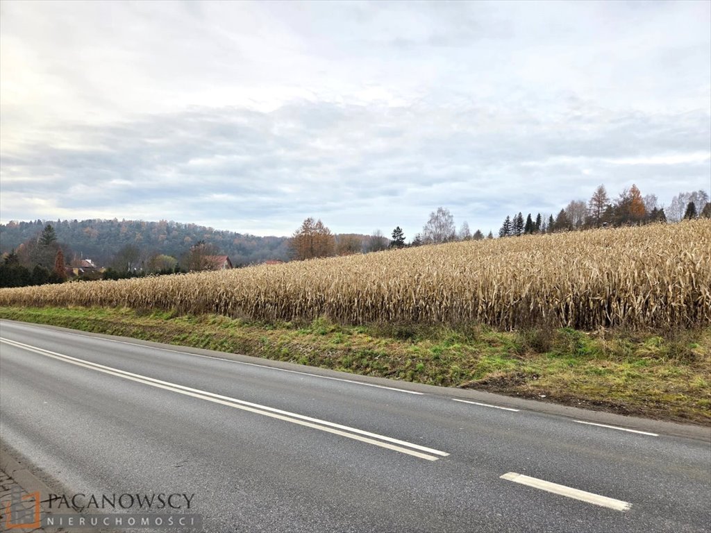 Działka budowlana na sprzedaż Januszowice  15 730m2 Foto 1