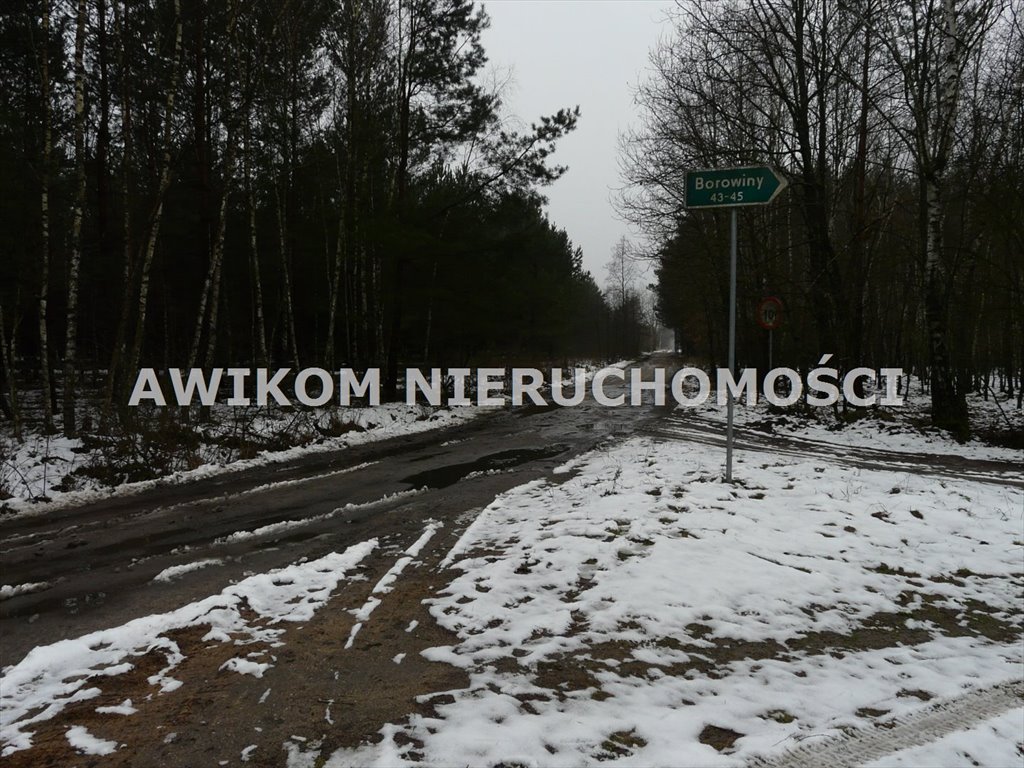 Działka leśna na sprzedaż Skierniewice, Borowiny  9 813m2 Foto 8