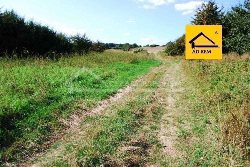 Działka budowlana na sprzedaż Snopków, Snopków, gmina Jastków  16 144m2 Foto 14