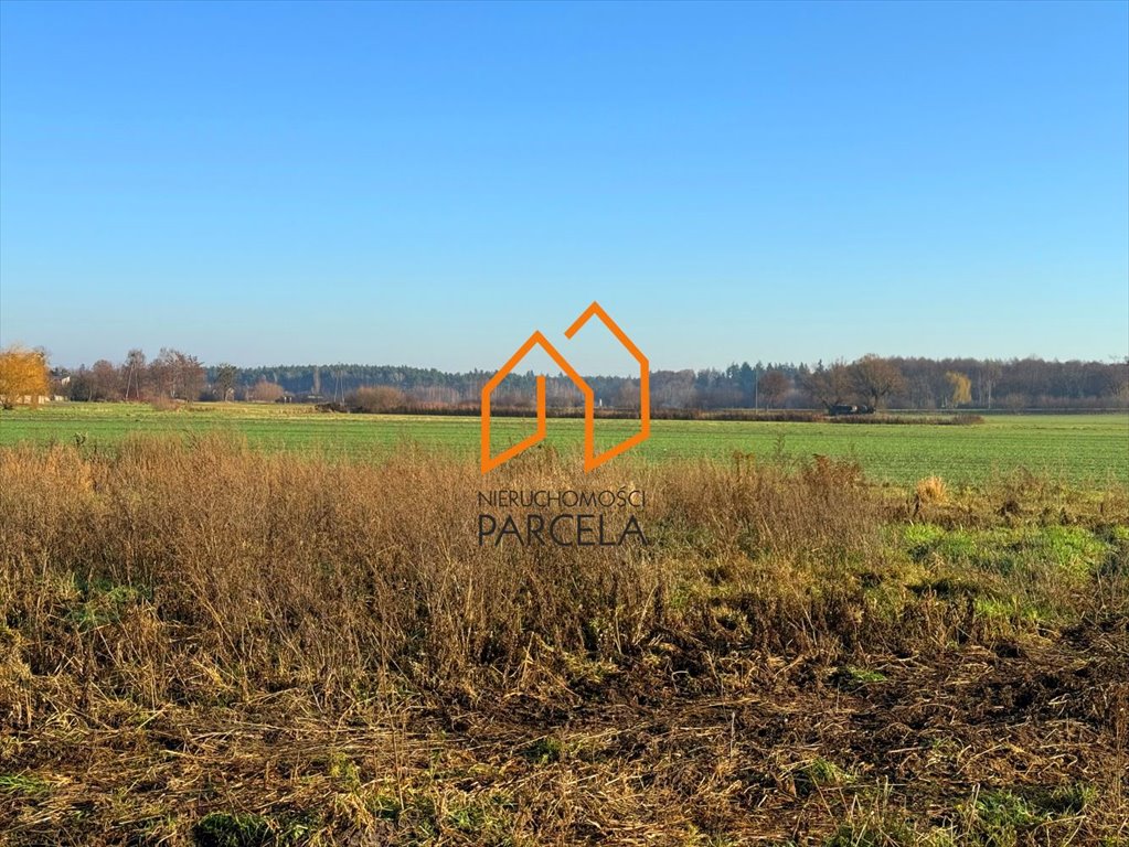 Działka budowlana na sprzedaż Nowe Miasto nad Wartą  745m2 Foto 5